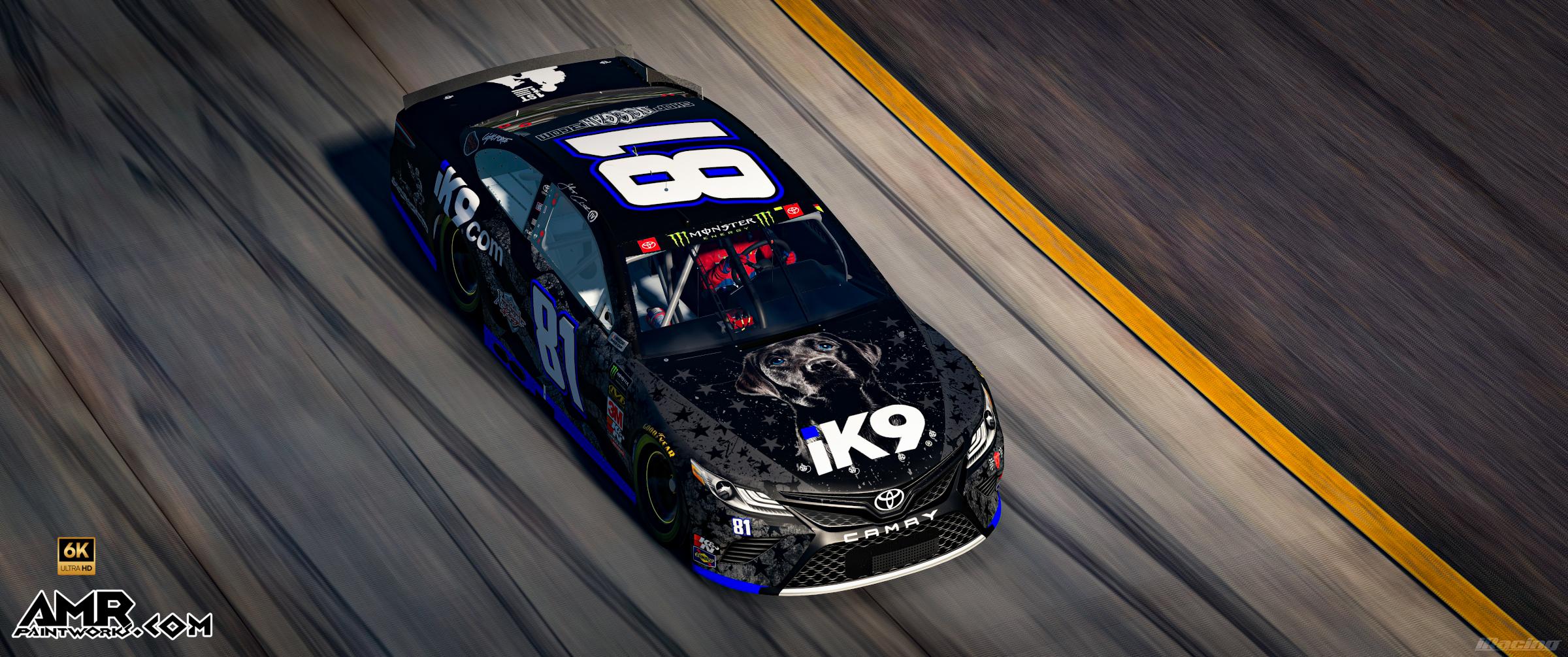 Preview of ik9.com by Amr S.