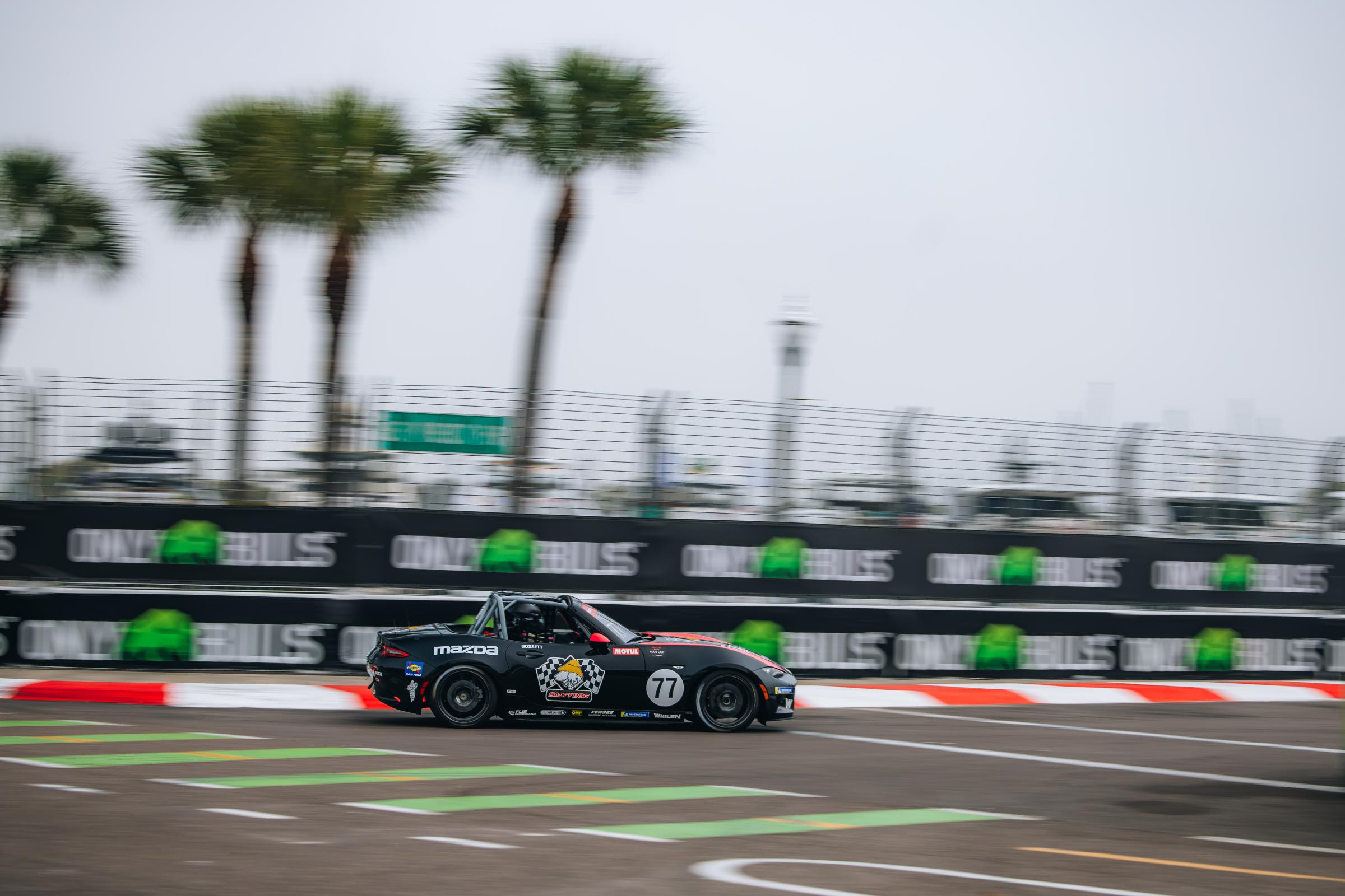 Preview of Ellie Gossett by Mikey Harland