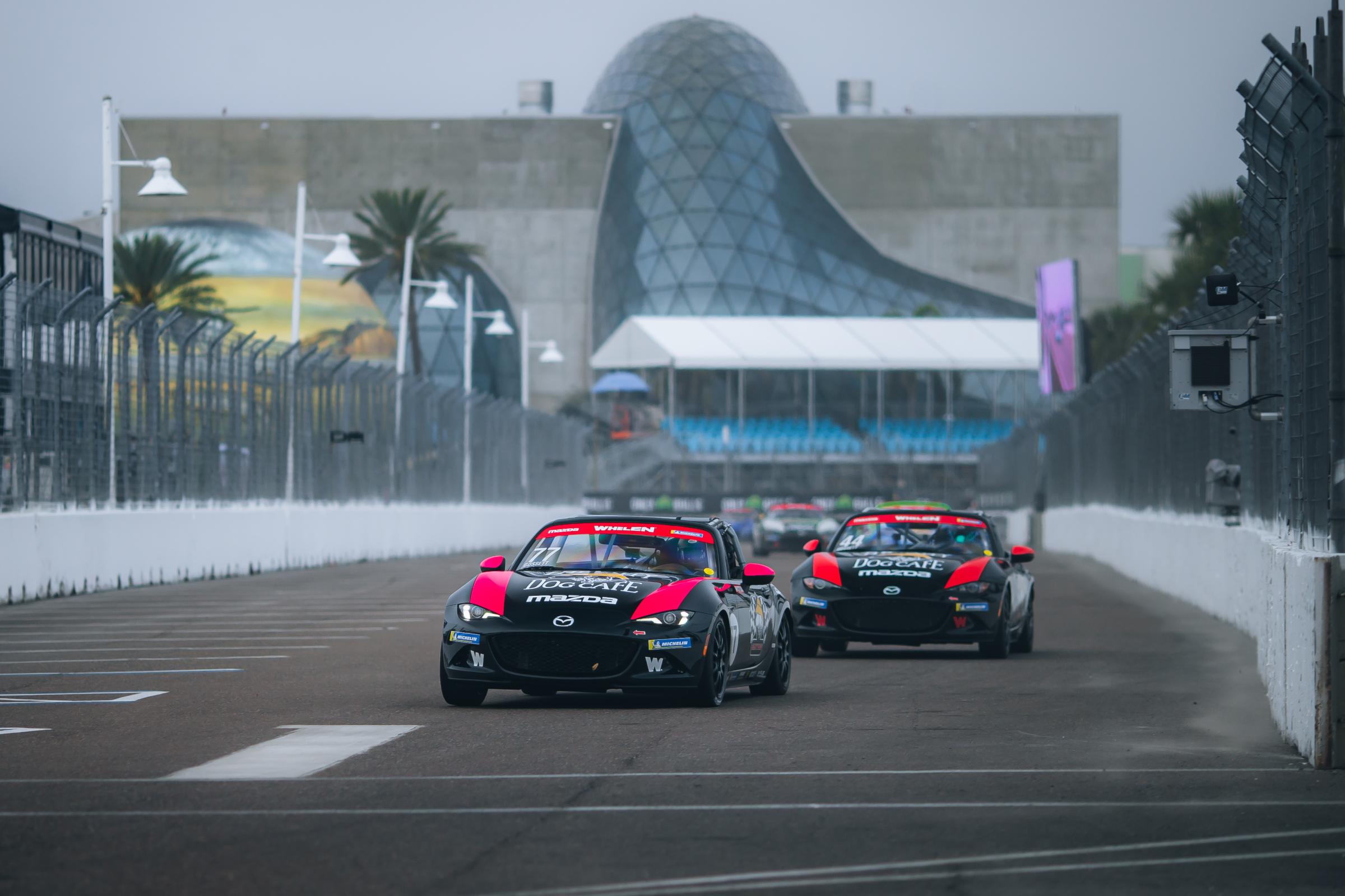 Preview of Ellie Gossett by Mikey Harland