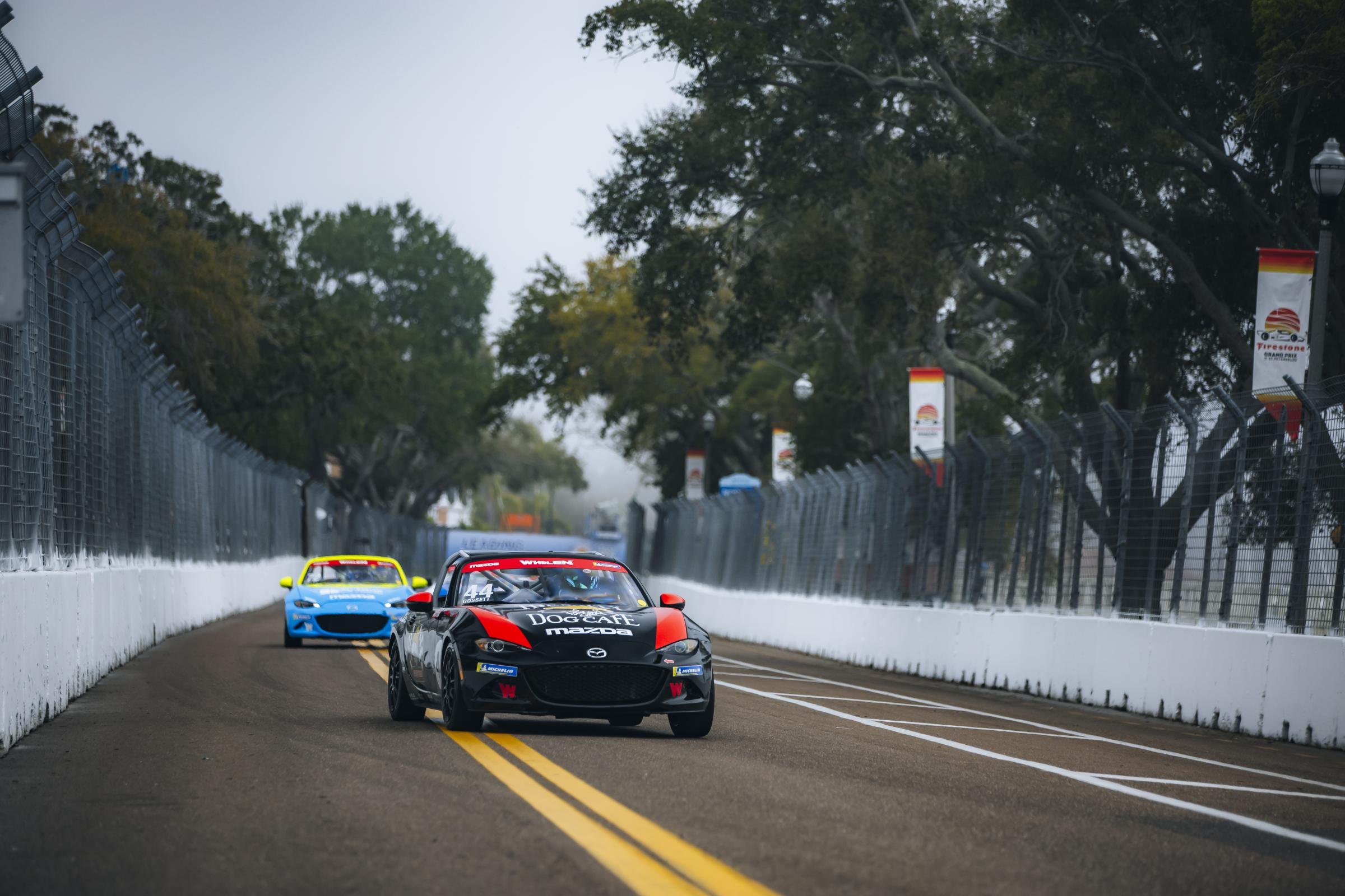 Preview of Bobby Gossett by Mikey Harland