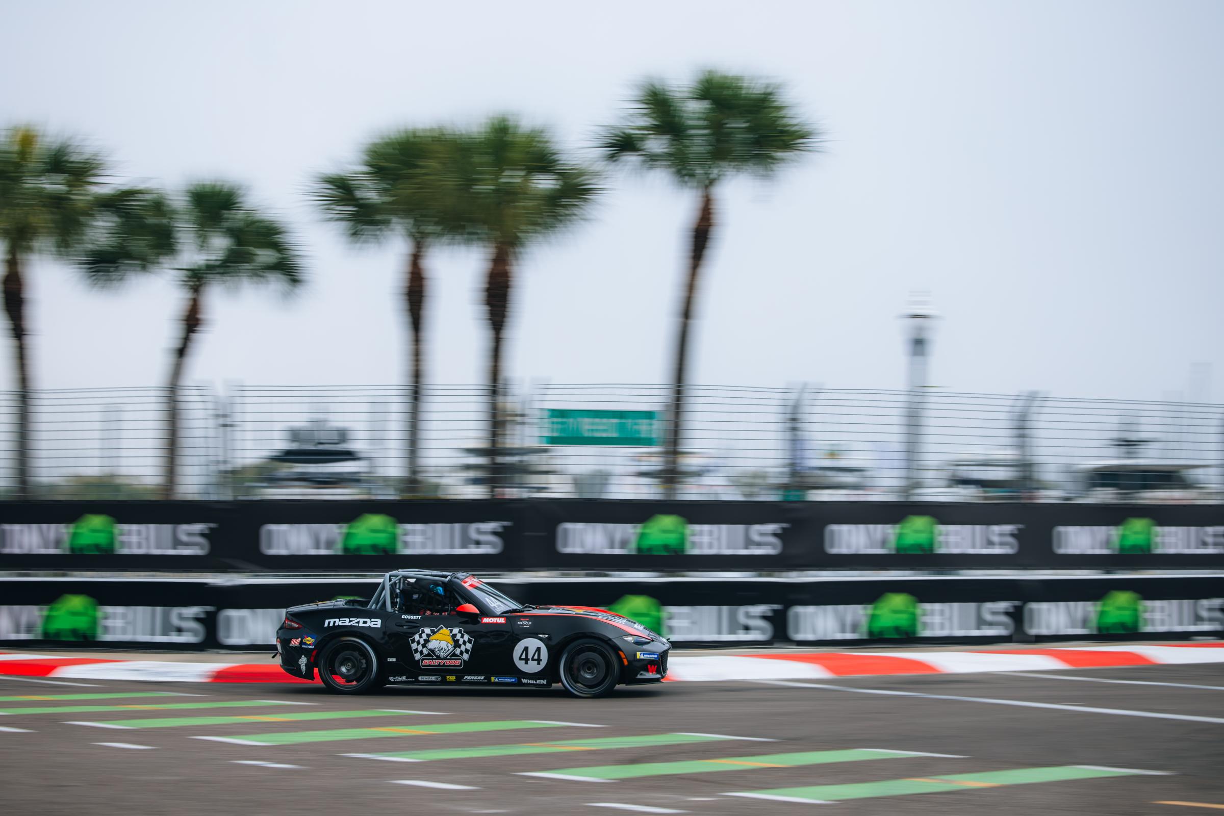 Preview of Bobby Gossett by Mikey Harland