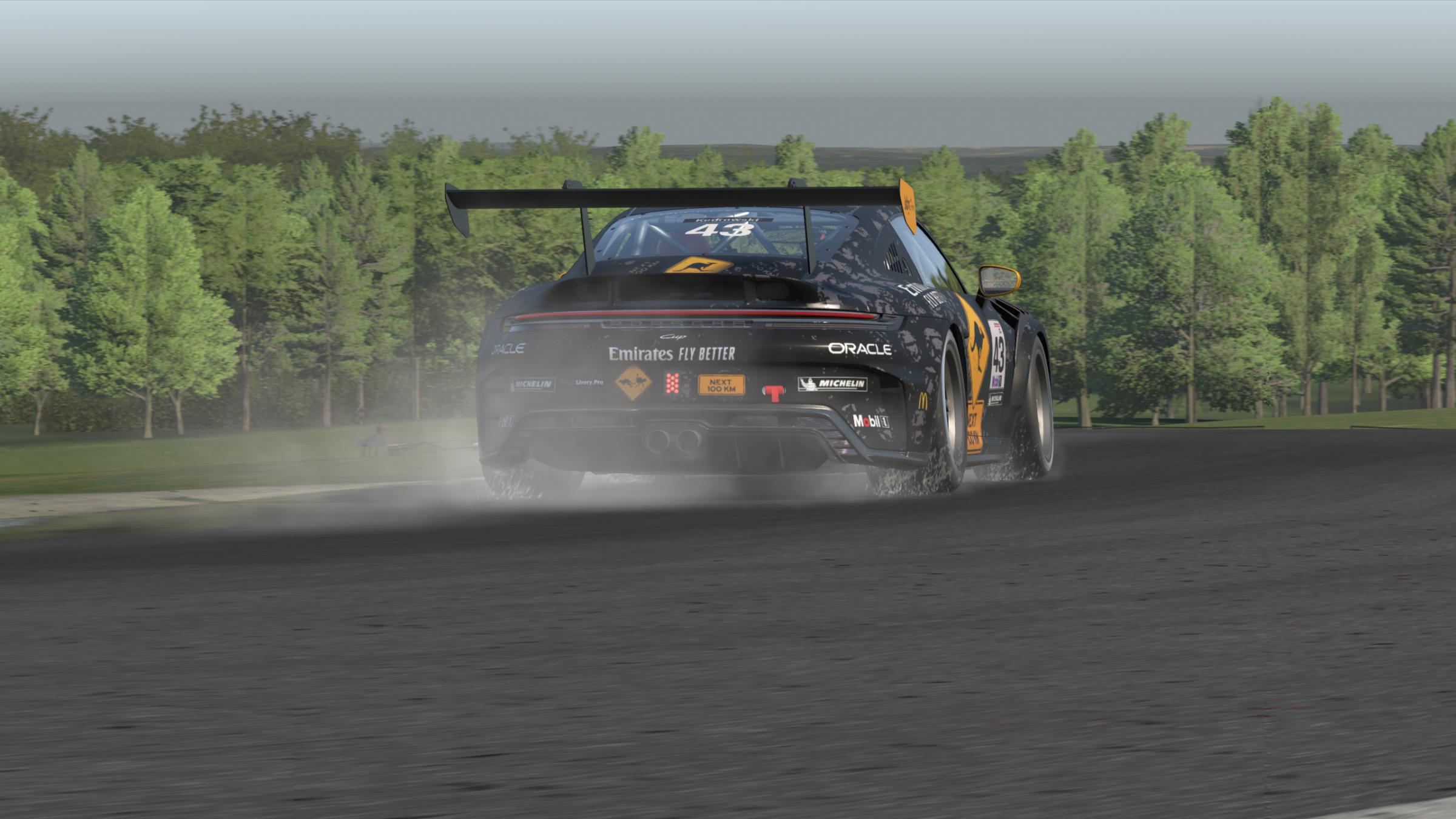 Preview of Porsche Cup 992.2 Kangaroo Crossing by Mark K.