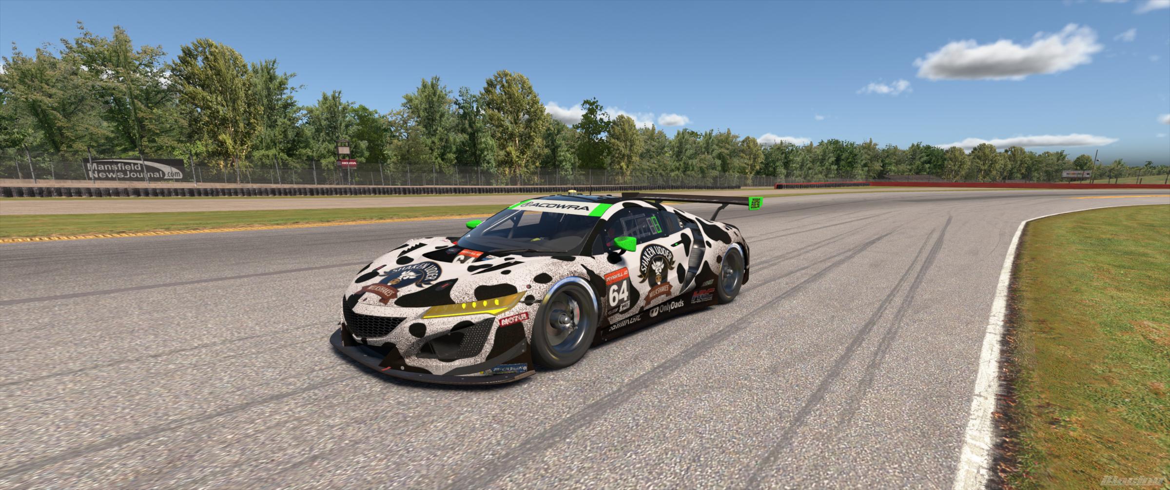 Preview of ACOWRA NSX GT3 EVO 22 by Andy M Hudson