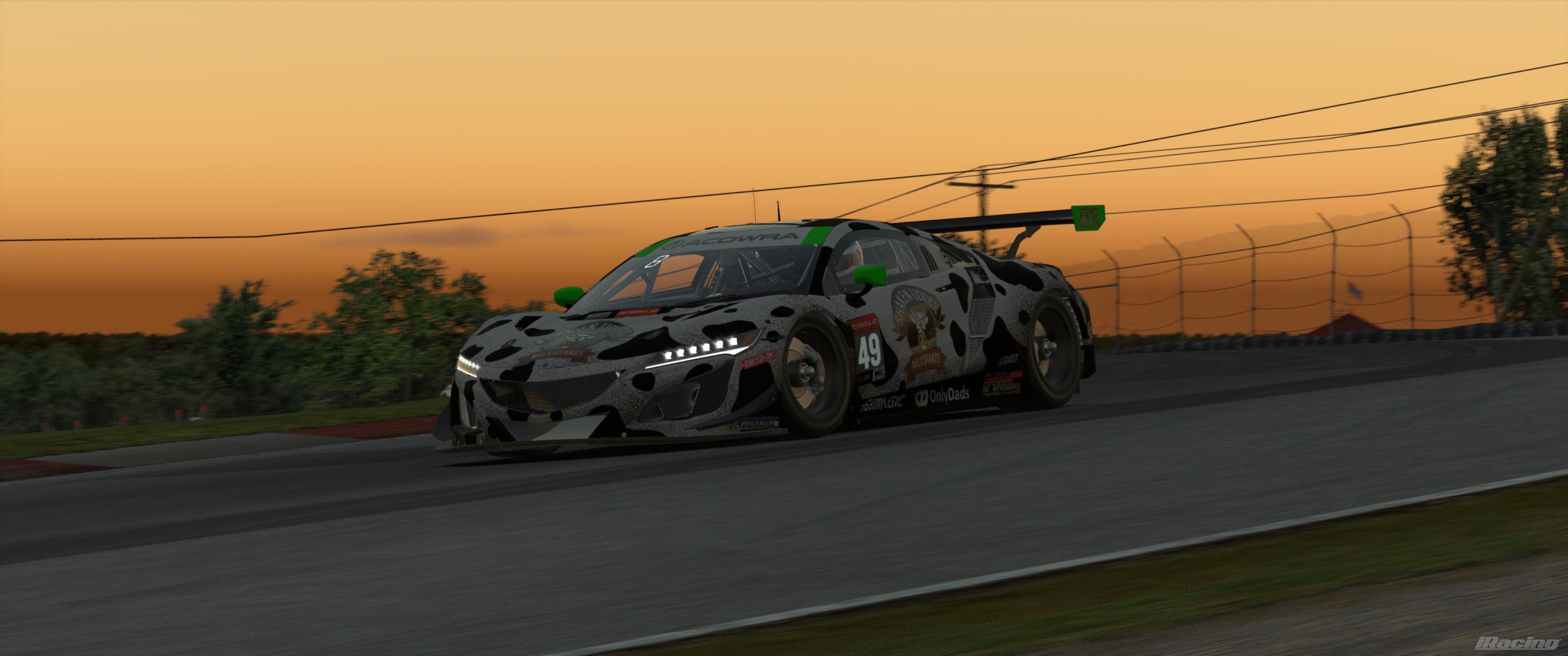 Preview of ACOWRA NSX GT3 EVO 22 by Andy M Hudson