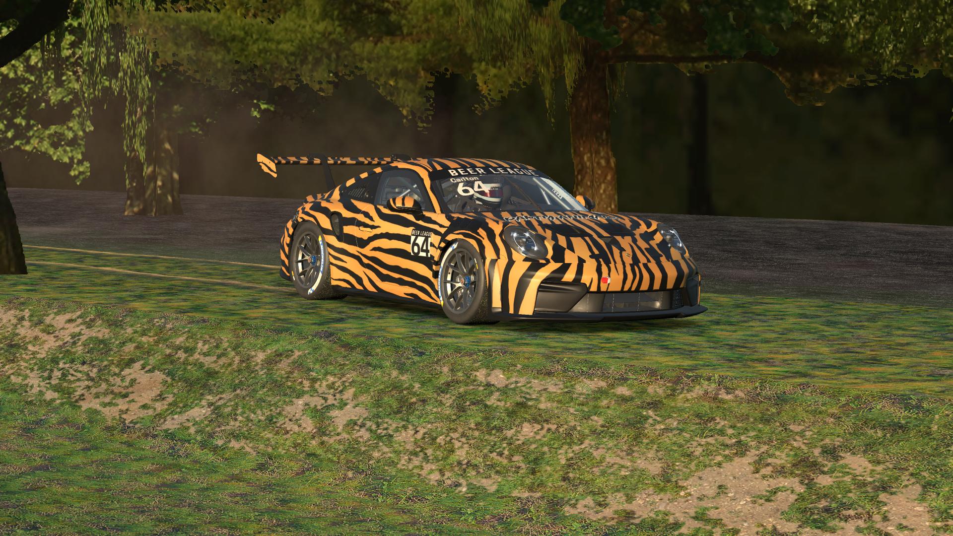 Preview of Party Animals Tiger by Tyler Carlton