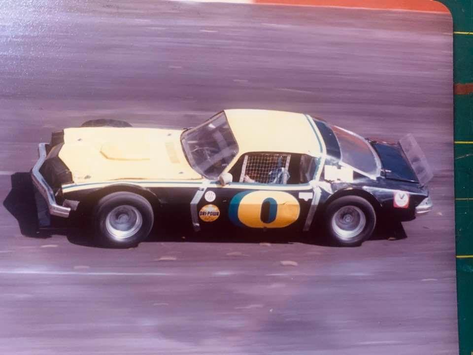 Preview of Lenient Fictional DSS by Leila Wilson