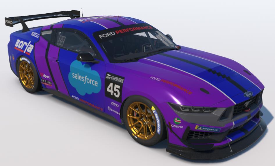 Preview of Mustang Challenge Salesforce Mustang GT4  by Mike W.