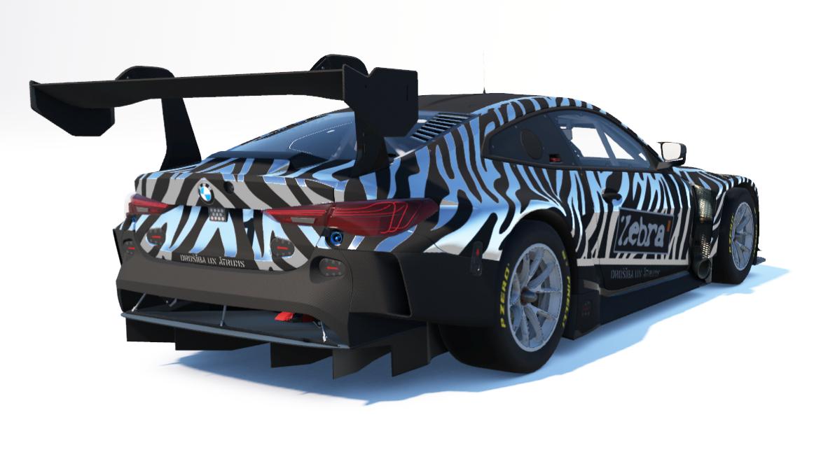 Preview of Zebra lv beha by Raimonds Z.