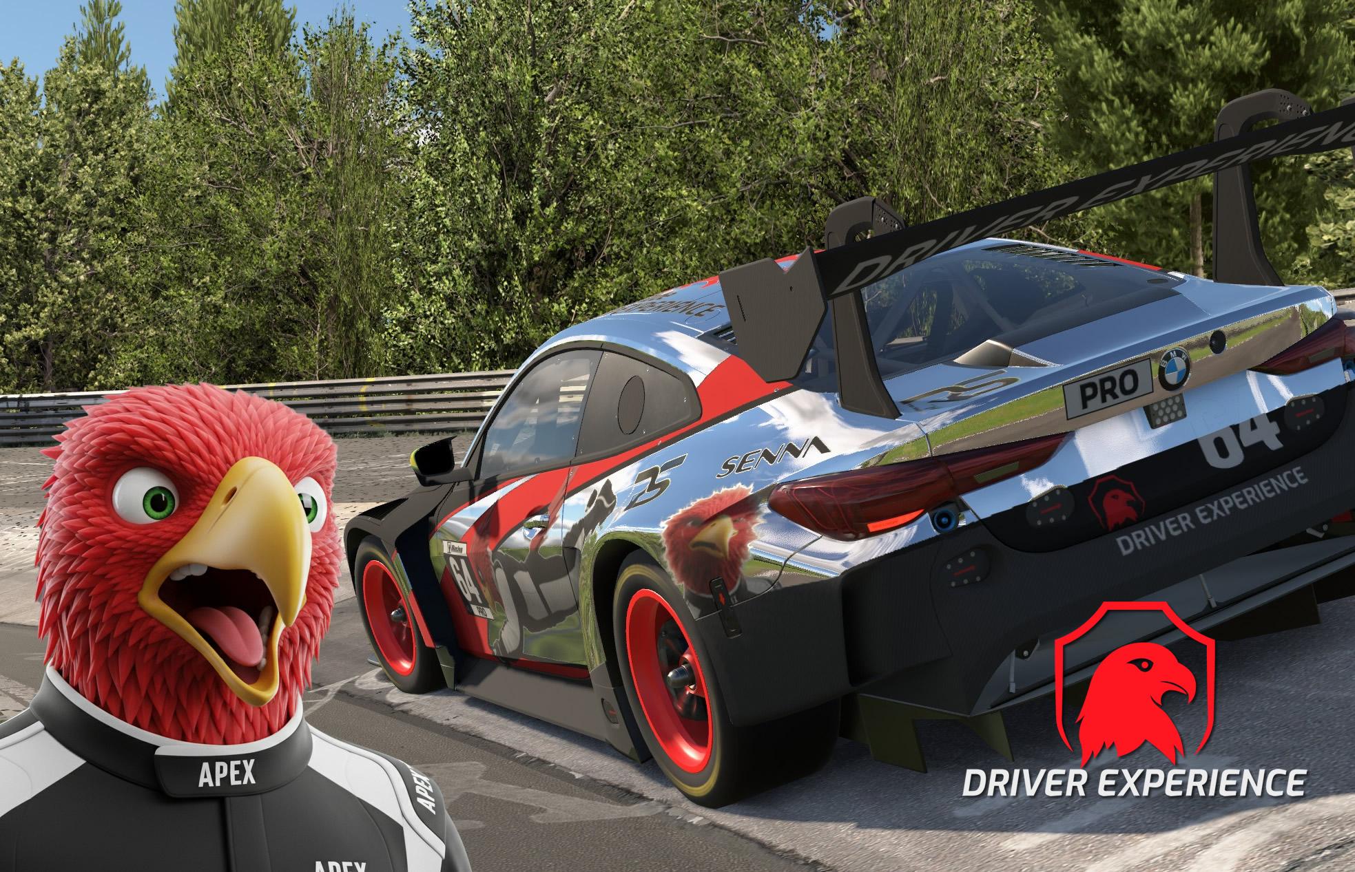 Preview of Driver Experience twitch.tv youtube by Gil B.
