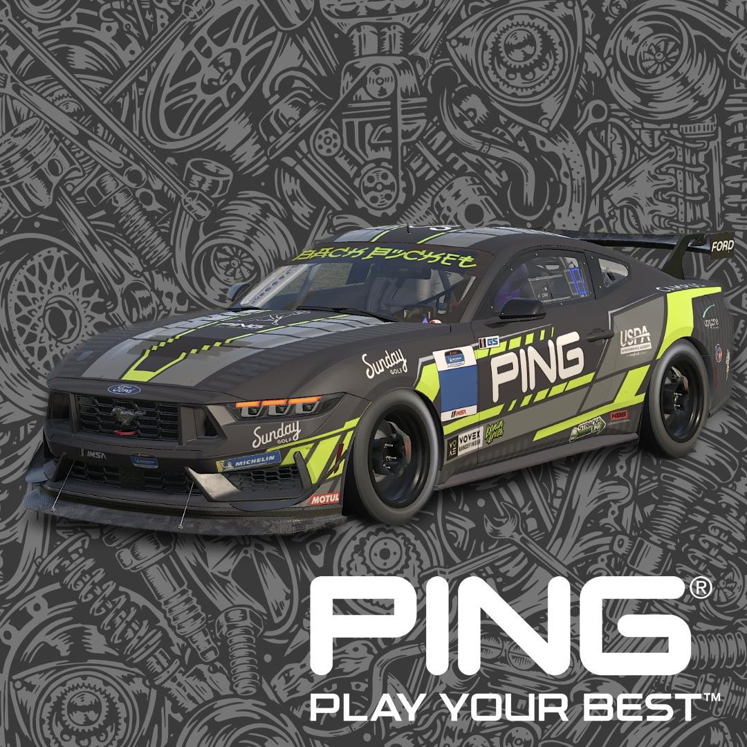 Preview of Team Ping Mustang GT4 by Chris L.