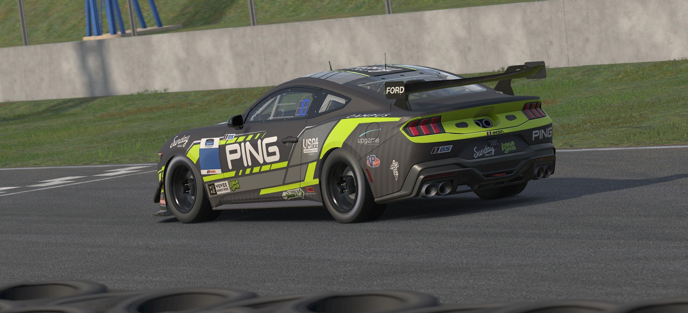 Preview of Team Ping Mustang GT4 by Chris L.