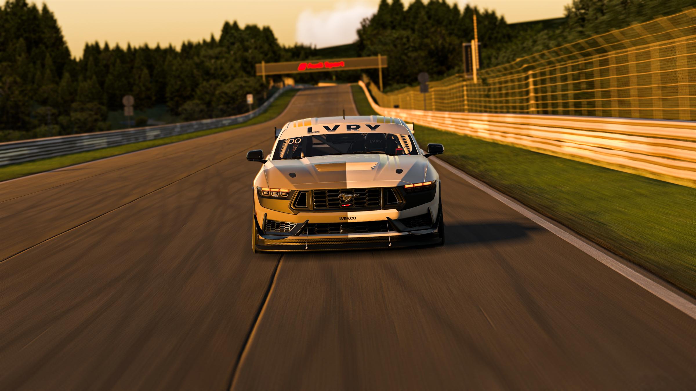 Preview of LVRY™ RING MEISTER Edition by Michael S.