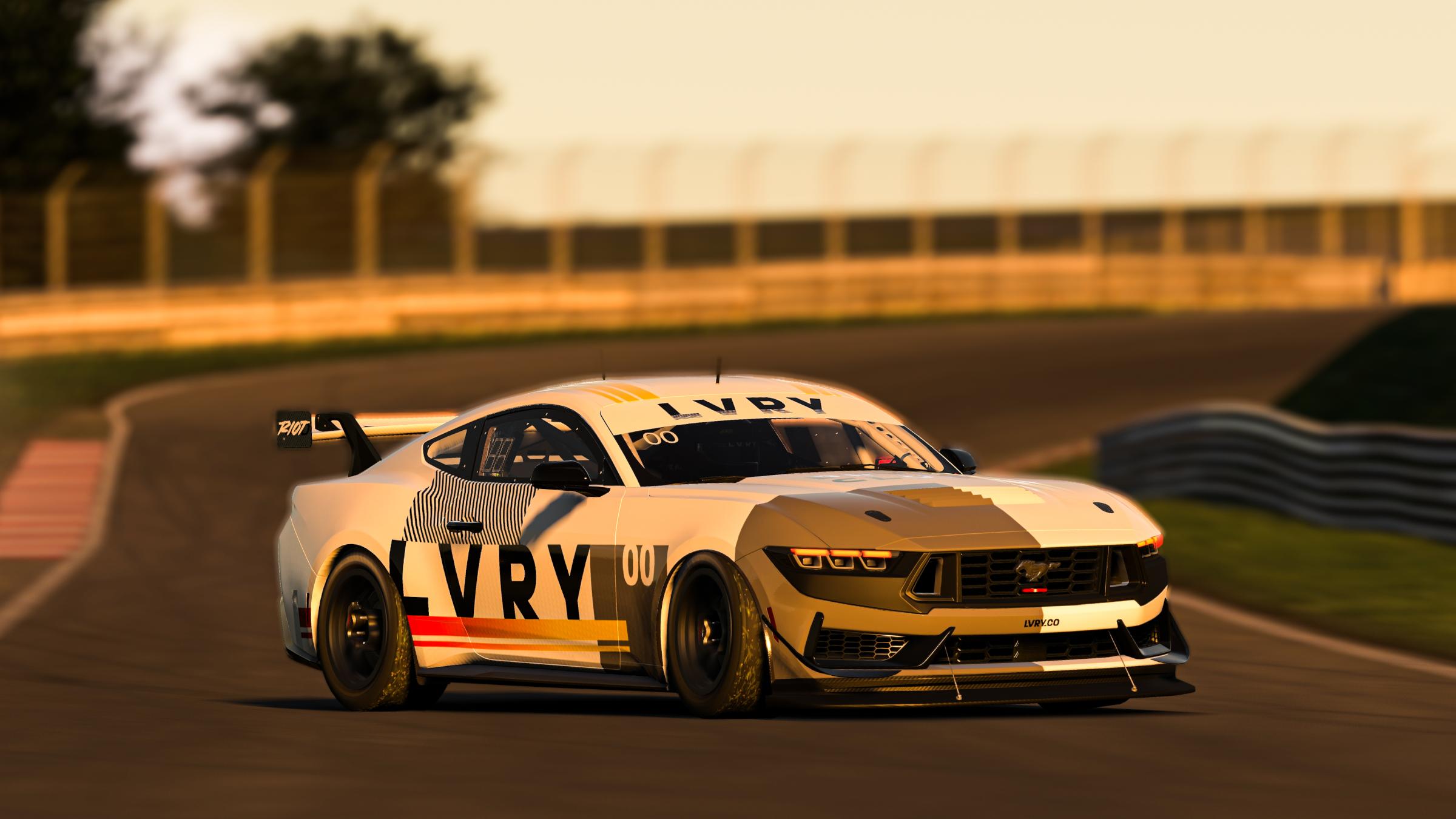 Preview of LVRY™ RING MEISTER Edition by Michael S.