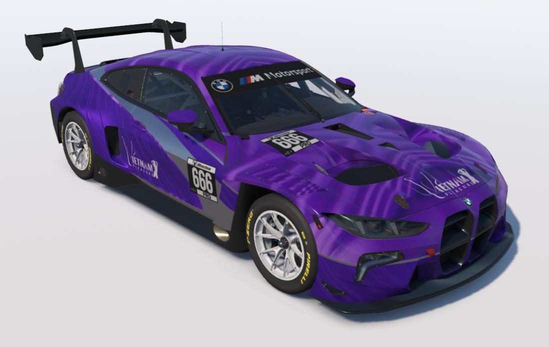 Preview of PDV Purple Warrior by Carson C.
