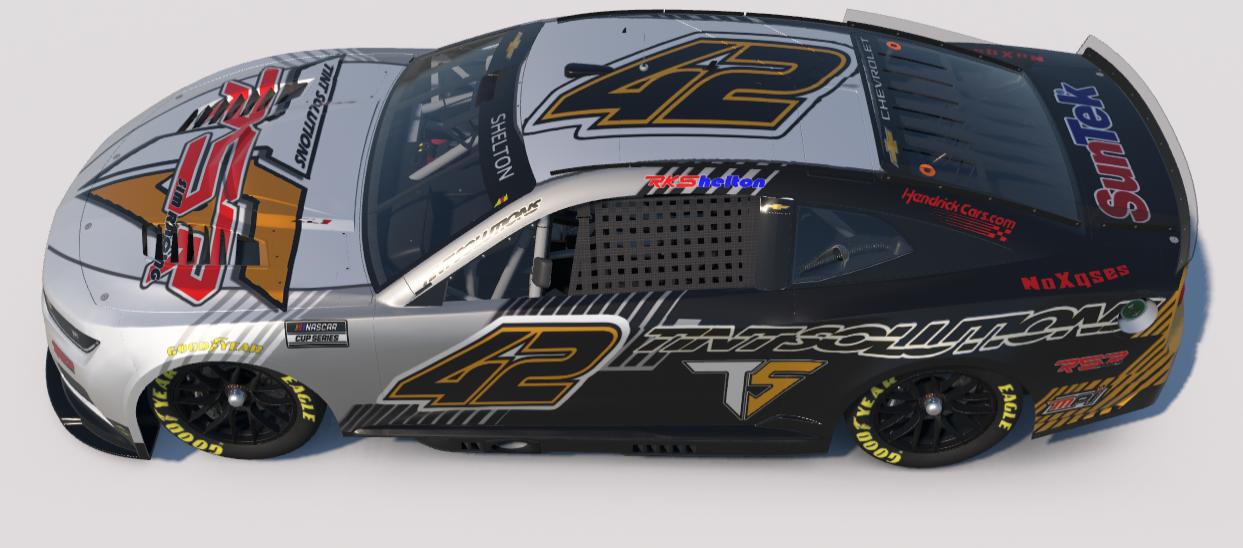 Preview of Tint Solutions /RSR 42 by Roger S.