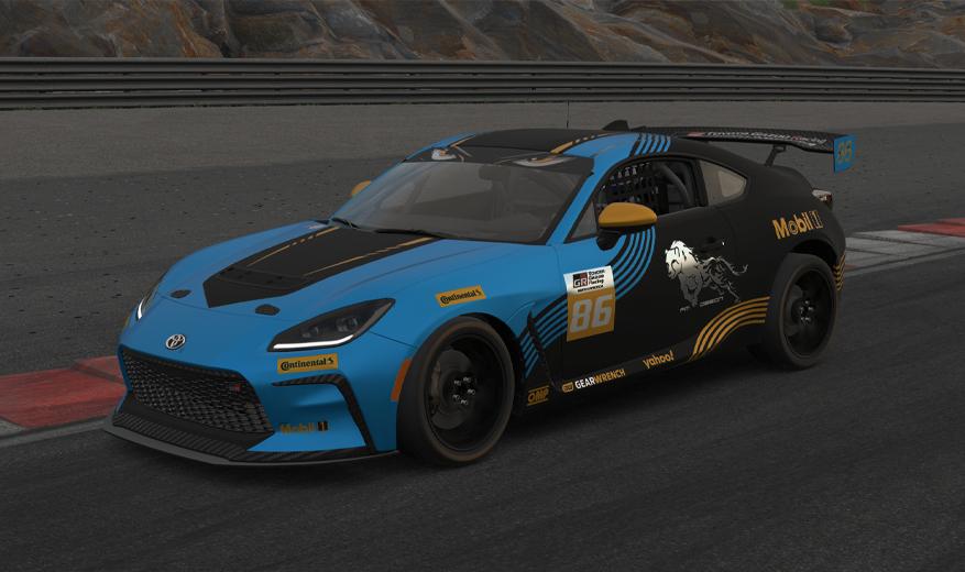 Preview of Cheetah Racing by Francisco Montes