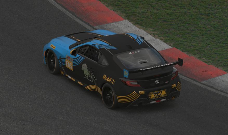 Preview of Cheetah Racing by Francisco Montes