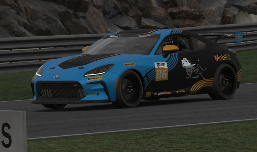 Preview of Cheetah Racing by Francisco Montes