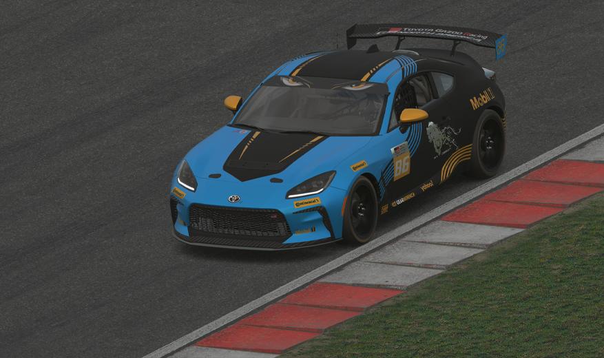 Preview of Cheetah Racing by Francisco Montes