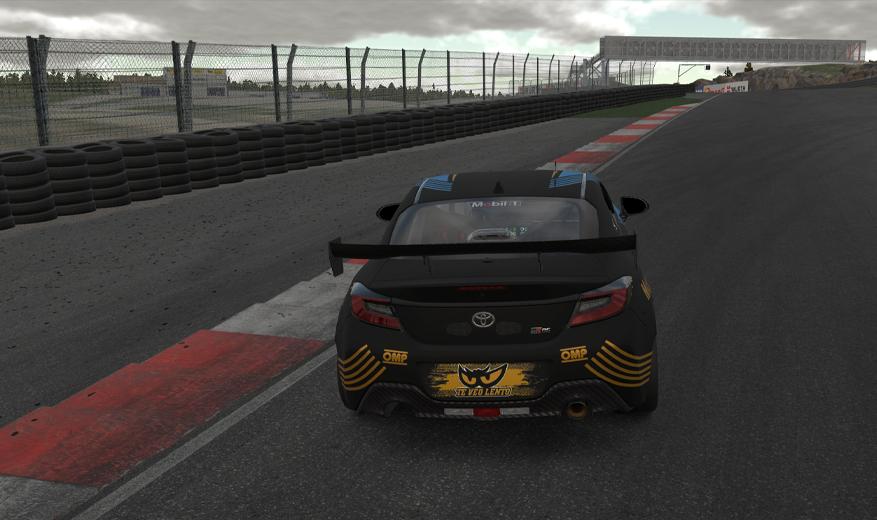 Preview of Cheetah Racing by Francisco Montes