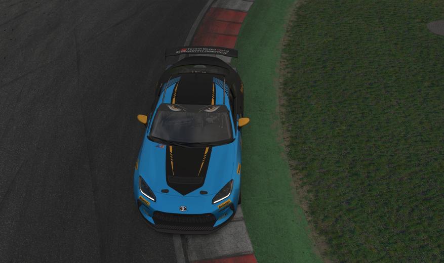 Preview of Cheetah Racing by Francisco Montes