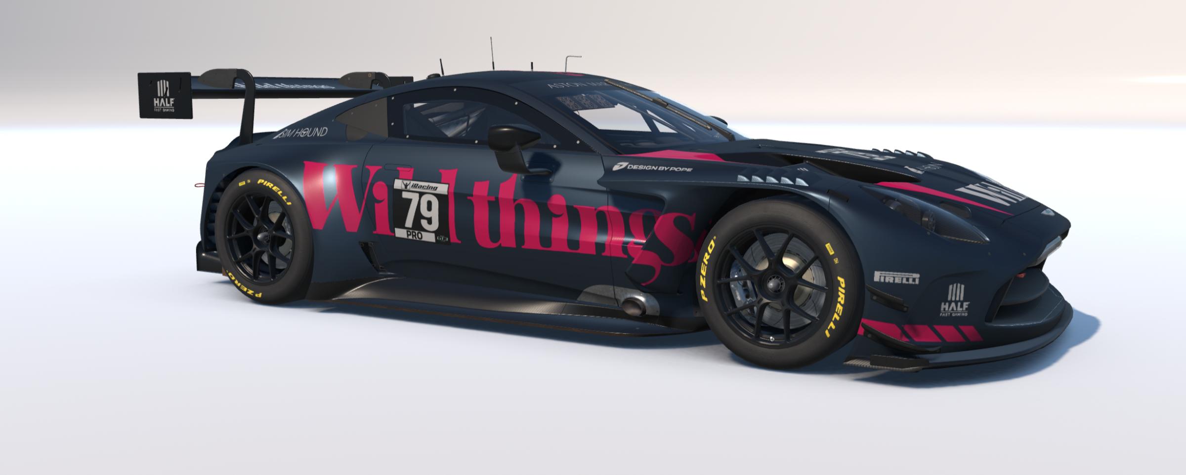 Preview of 2026 Wild things Racing Aston Martin Vantage GT3 Evo by Denise Pope