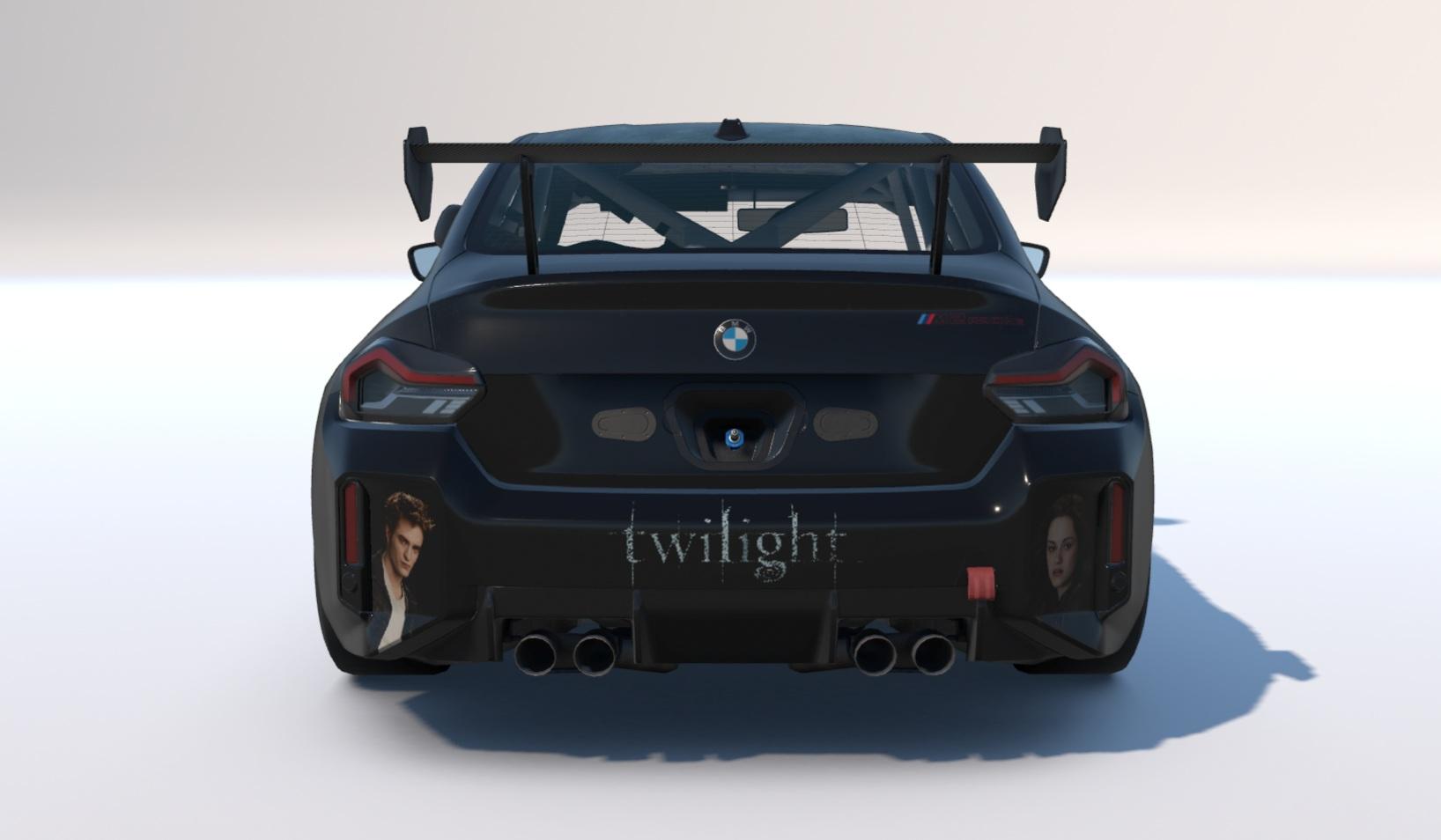 Preview of Twilight  by Brenden M.