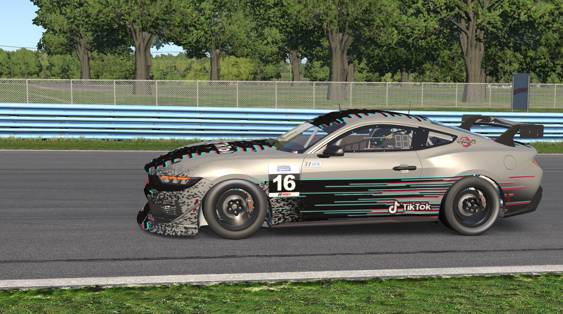 Preview of TikTok Viral Glitch GT4 by Eric DuBois