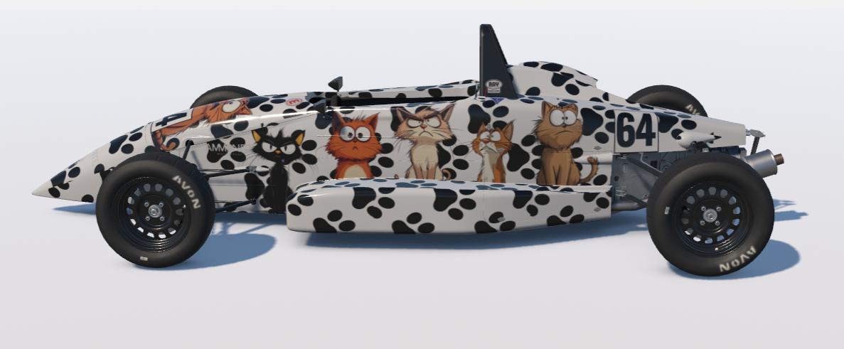 Preview of Ray FF1600 Grumpy Cats by Guy Robertson