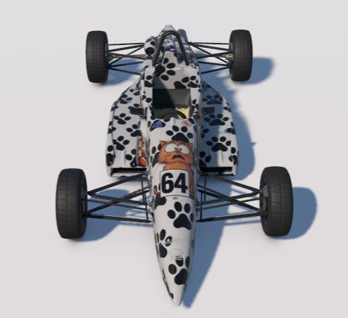 Preview of Ray FF1600 Grumpy Cats by Guy Robertson