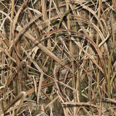 Preview of pearson1 by Jeremy Capron