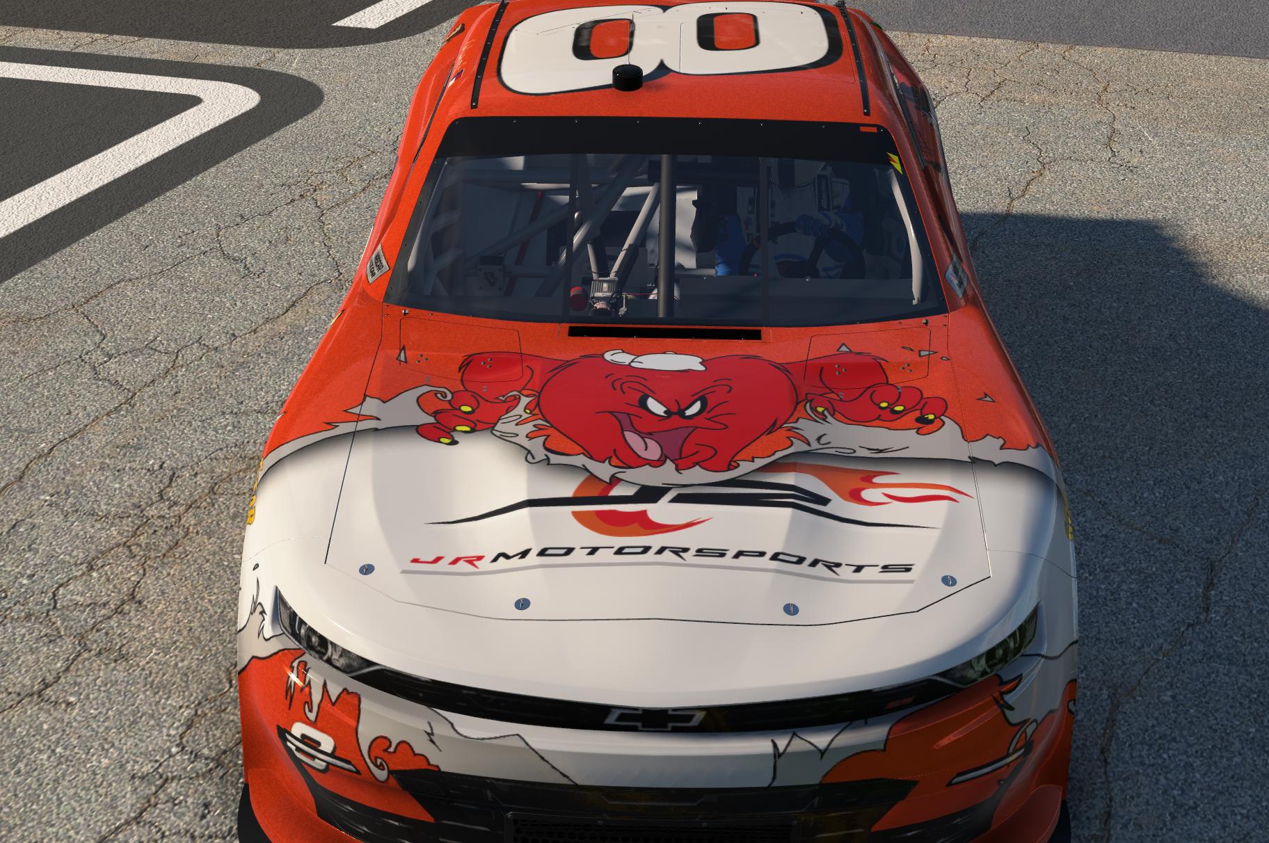 Preview of Dale Jr. Looney Tunes by Clifton Channell