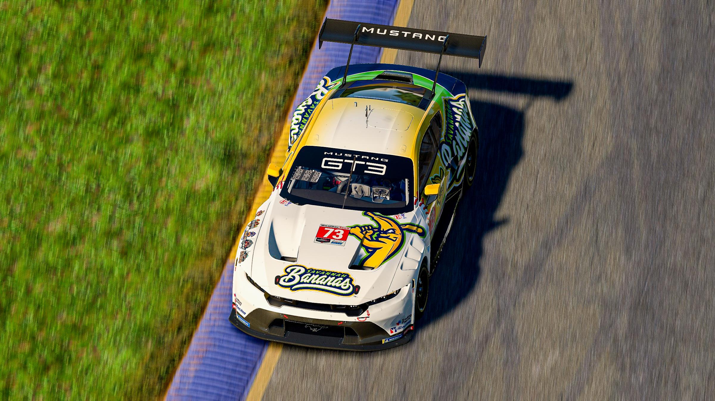 Preview of Savannah Bananas - Mustang GT3 by Jason Jones22