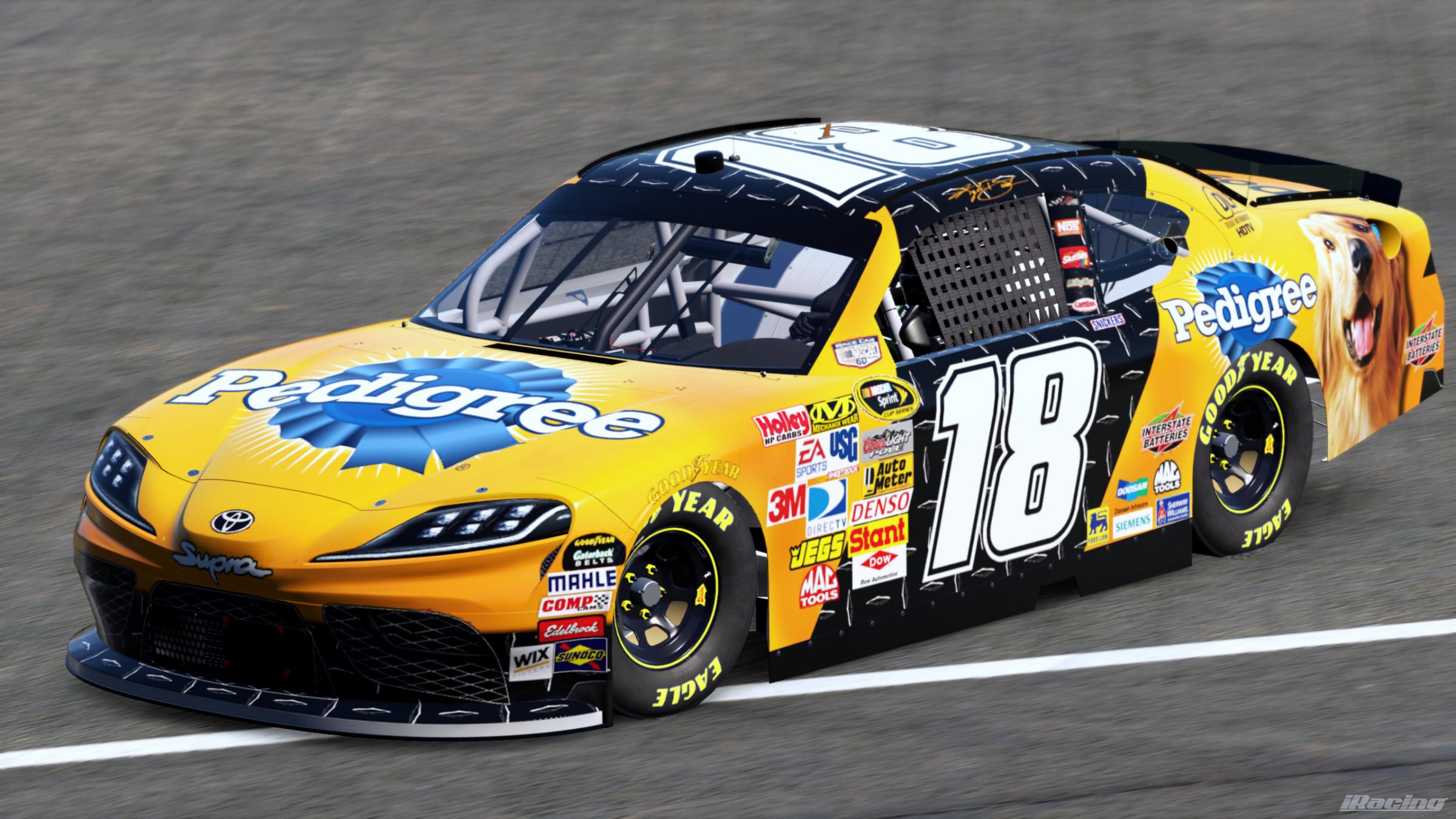 Preview of Kyle Busch 2008 Pedigree (Sim #) by Gary P.