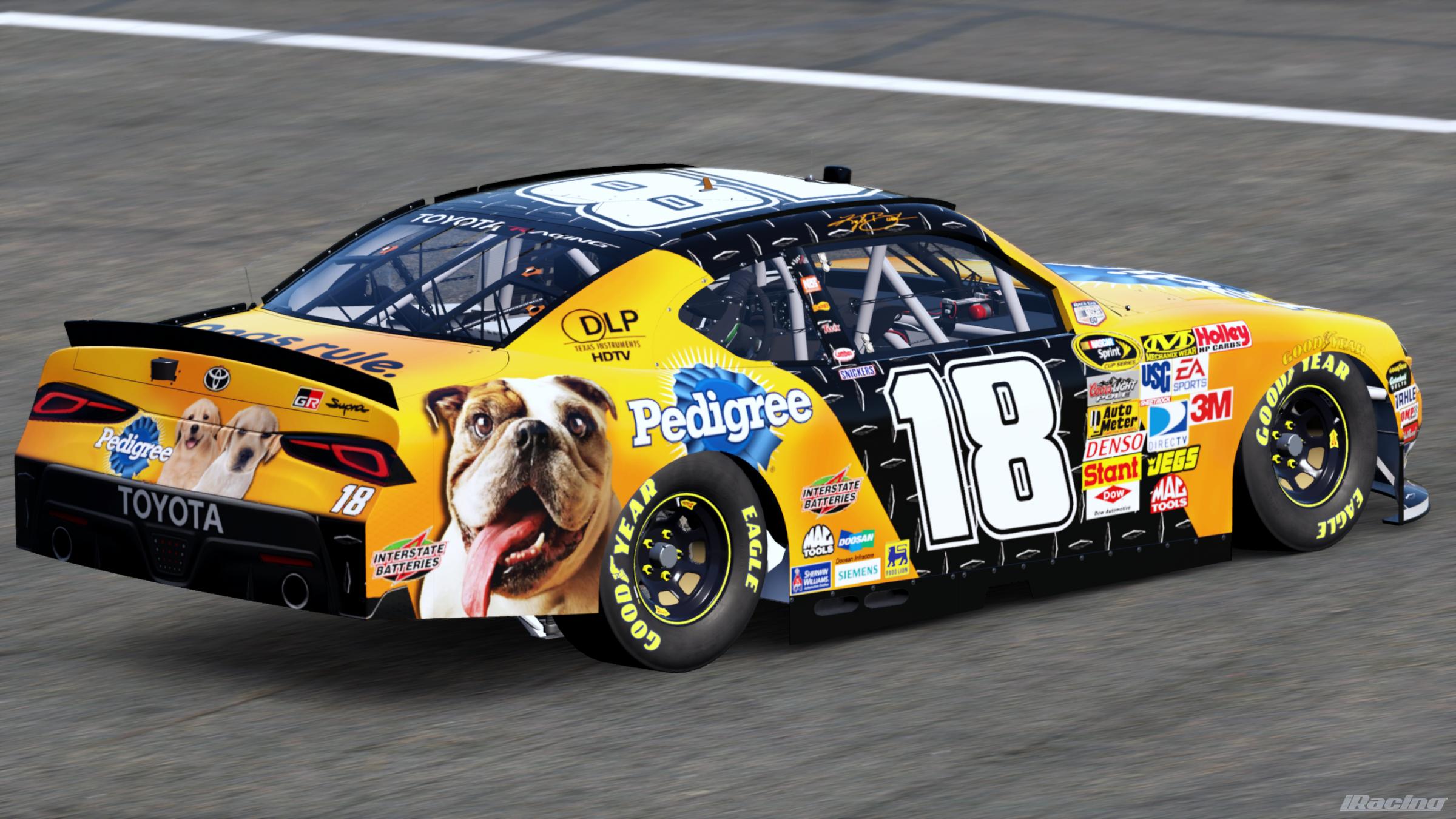 Preview of Kyle Busch 2008 Pedigree (Sim #) by Gary P.