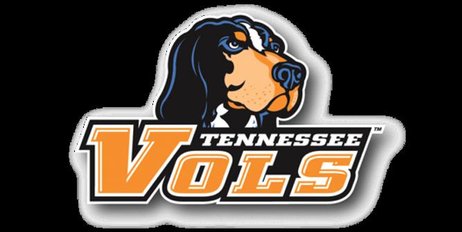 Preview of Vols Checkerboard  by Victor Wagner