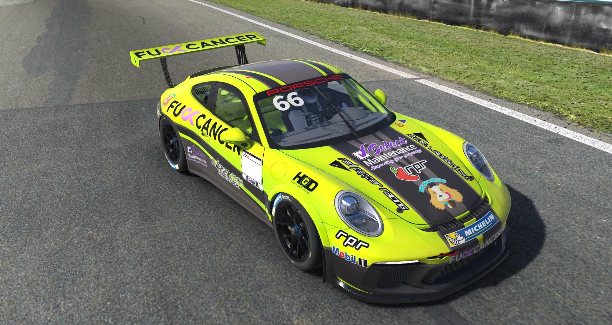 Preview of RPR Porsche 911 Fck Cancer by Mitchell T.
