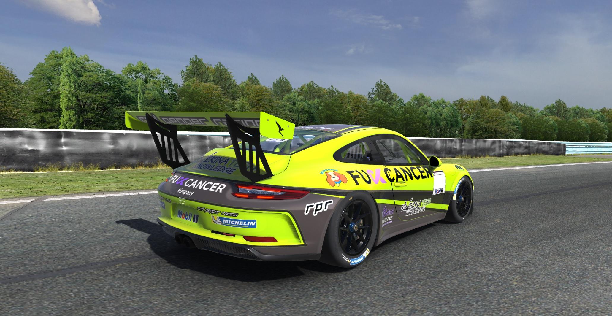 Preview of RPR Porsche 911 Fck Cancer by Mitchell T.