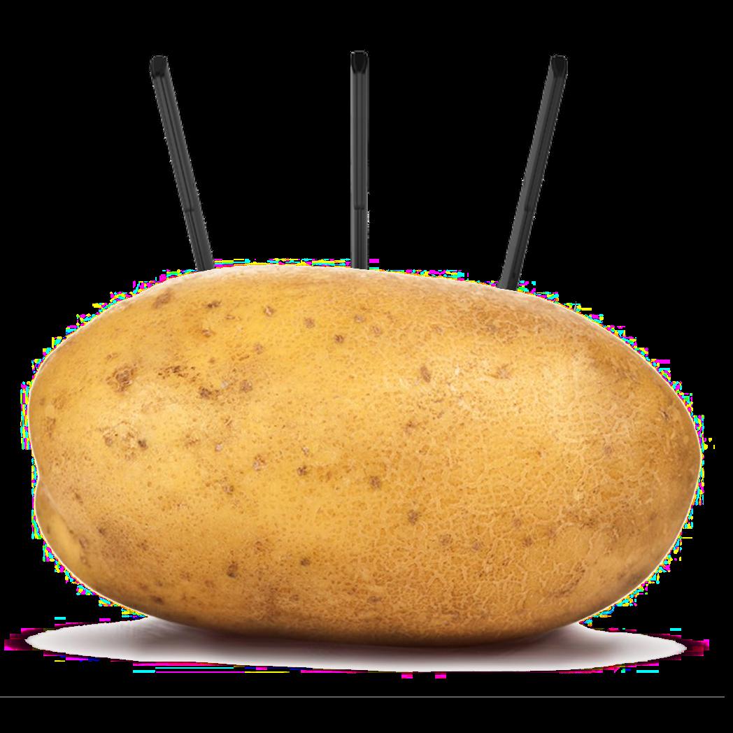 Preview of jdawg stars by Caden H.