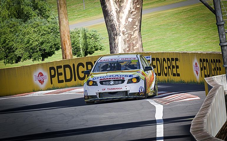 Preview of Chickadee Holden Commodore VF V8 II by Simon Bailey