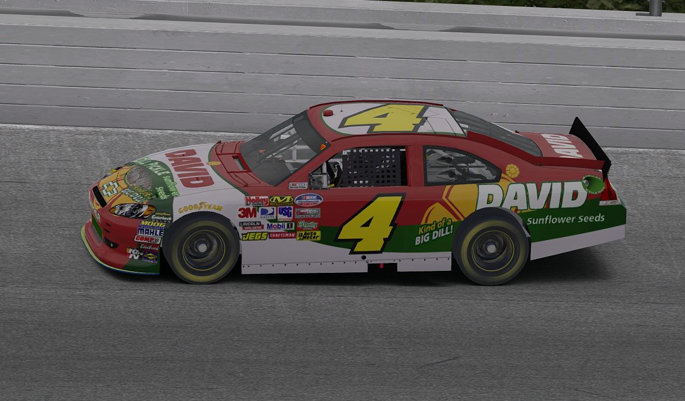 DAVID Dill Pickle Sunflower Seeds by Tyler Head Trading Paints