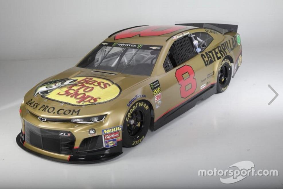 Preview of Daniel Hemric #8 Bass Pro Shops/Caterpillar RCR Racing 50th Anniversary 2019 Monster Energy NASCAR Cup Series  by Ryan Broderick
