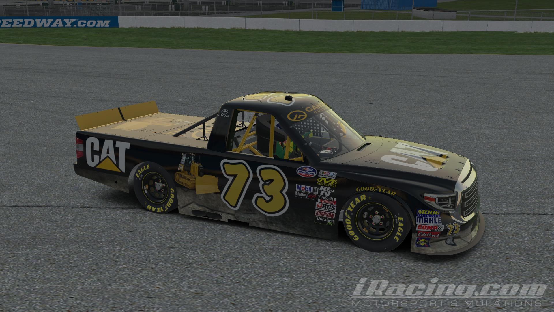 CAT by Chris L Davis - Trading Paints