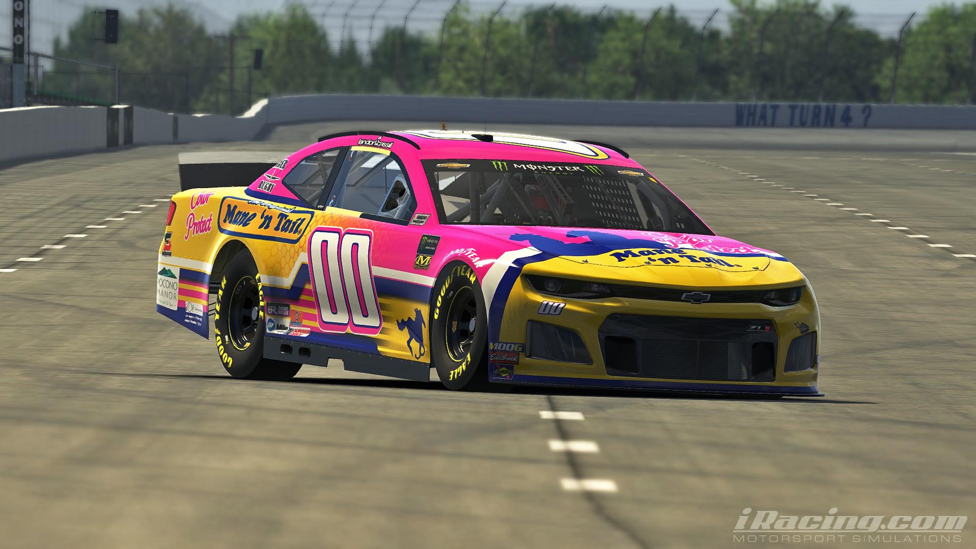 Preview of Landon Cassill 2019 Mane N Tail with number by Alexander L Russell