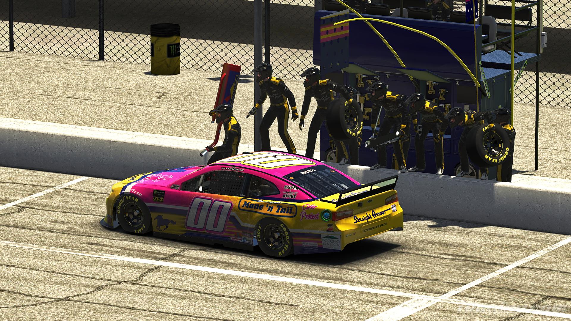 Preview of Landon Cassill 2019 Mane N Tail with number by Alexander L Russell