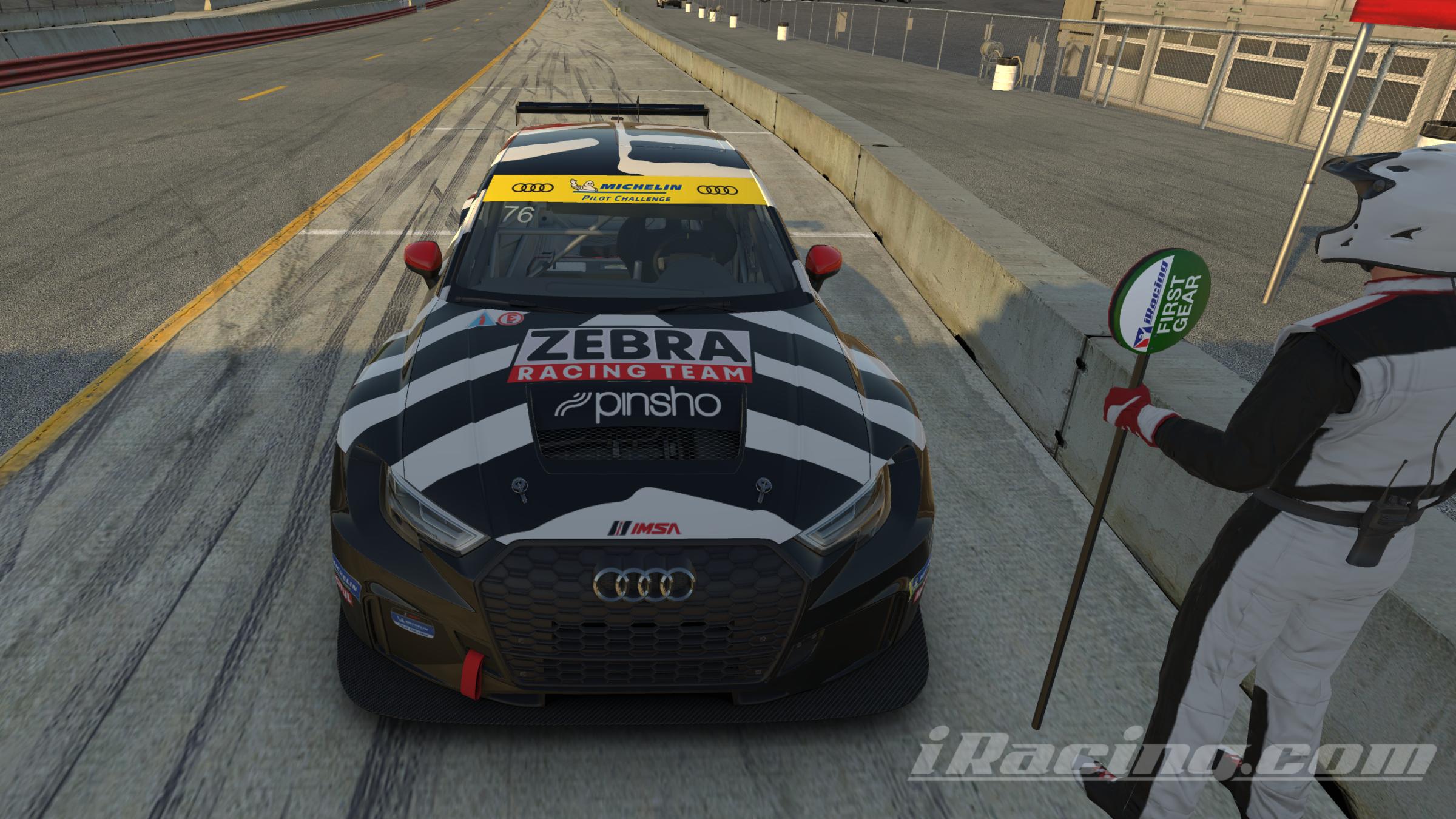 Preview of Audi RS3 LMS TCR Zebra Racing Team by Fer Pina