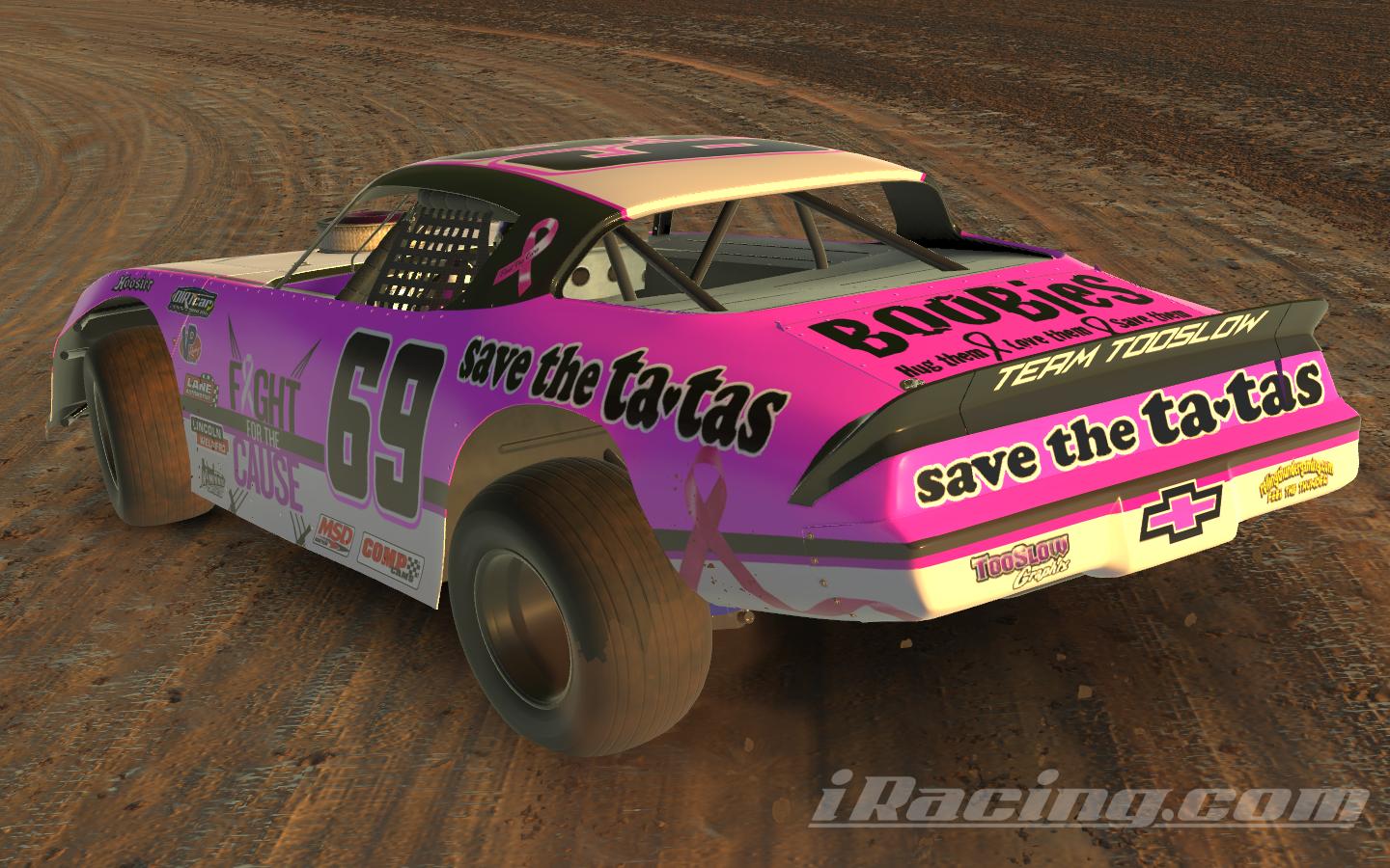 2slow Cancer Awareness DirtStreetStock by Terry Bauman - Trading Paints