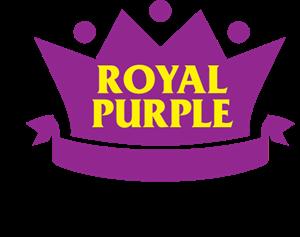 Preview of Ford Thunderbird 1987 royal purple by Hayden Ruffin