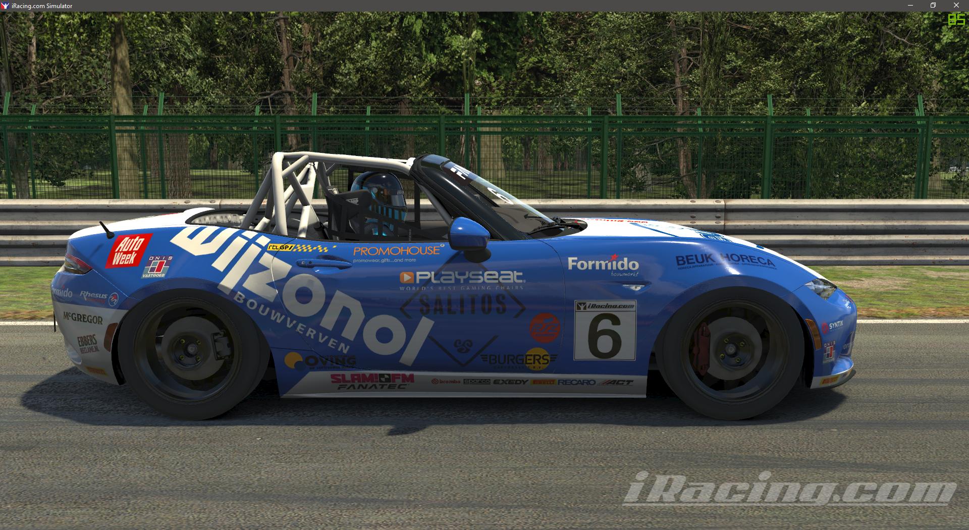 Preview of Rhesus Racing by Erik Boersma