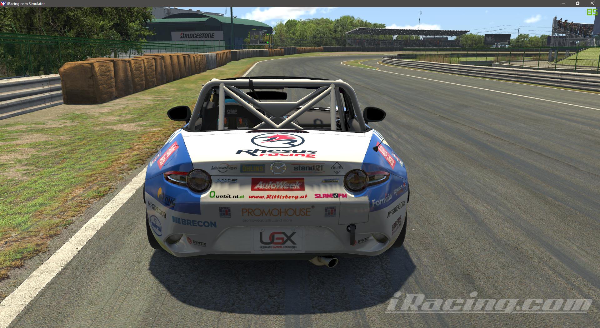 Preview of Rhesus Racing by Erik Boersma